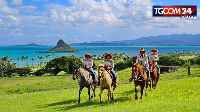 Hawaii: perfect waves, unspoilt nature and dreamy sunsets