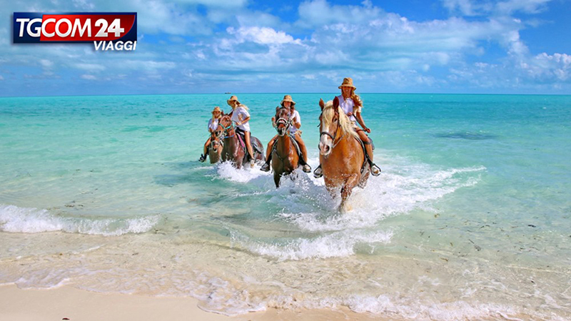 Turks and Caicos, turquoise pearl of the Caribbean