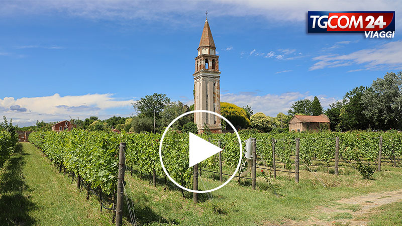 The art of Murano glass and the Venissa Estate