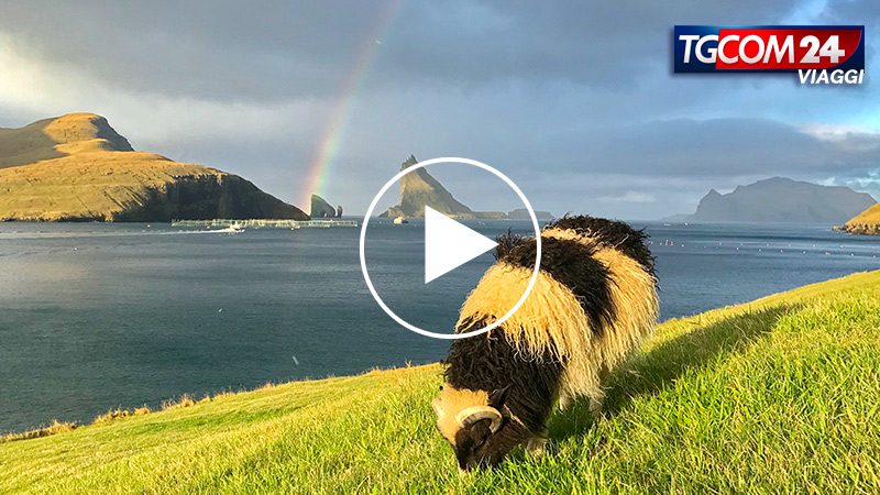 Donnavventura episode 5 Denmark, Faroe and Iceland