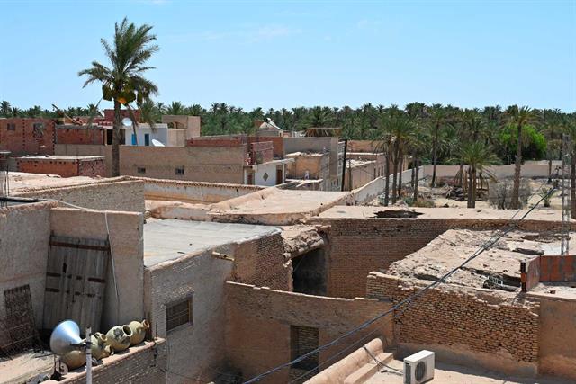 DA-LADY-TUNISIA-2026-00010.jpg
