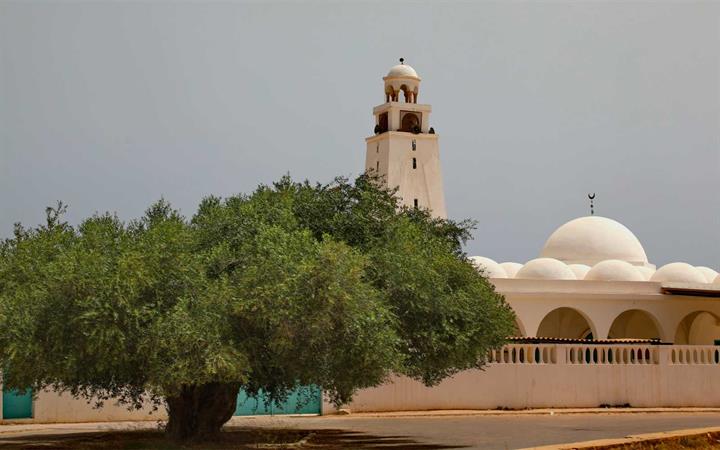 DA-TUNISIA-2024-0045.jpg