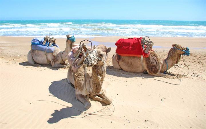 DA-TUNISIA-2024-1420.JPG