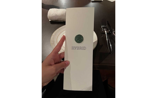 HYBRID_2.jpg