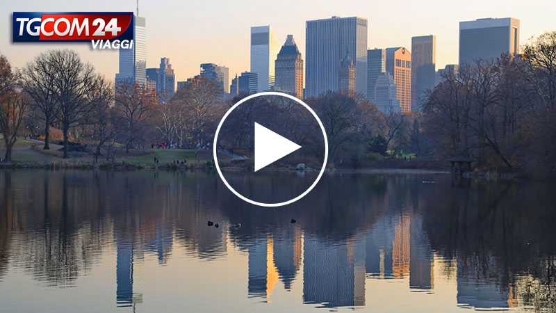 DISCOVERING NEW YORK