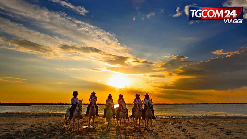 La Camargue: a peaceful corner