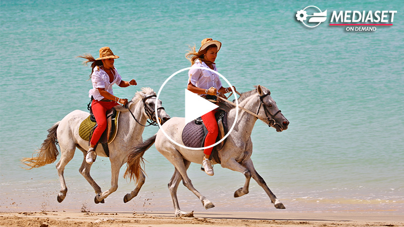 CAPE VERDE, BOA VISTA ISLAND