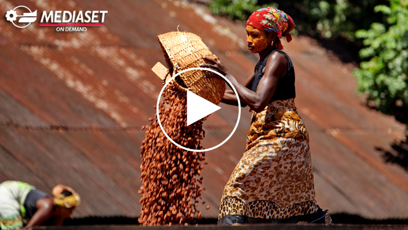 MADAGASCAR, COCOA'S COUNTRY