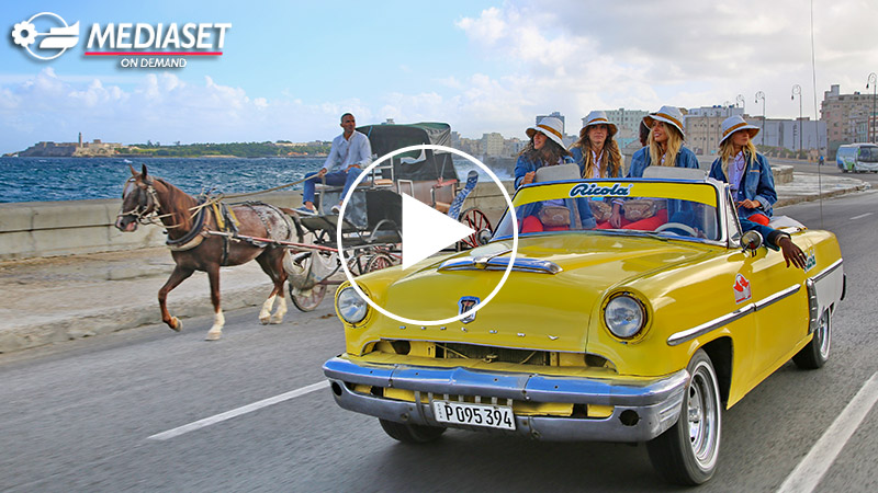LEGENDARY HAVANA