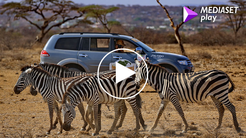 SAFARI IN KENYA